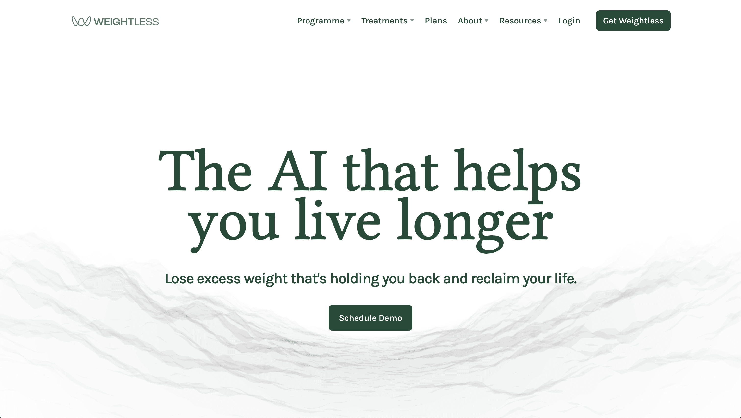Weightless AI case study